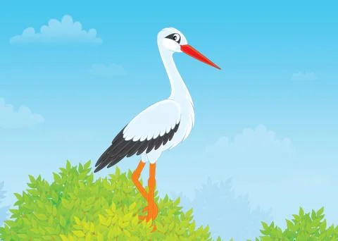 Stork Stock Illustration