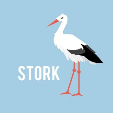 Stork isolated on white background, standing stork in flat style. Stock Illustration