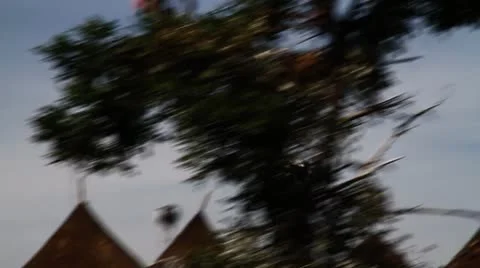 Stork multi shot Vídeo Stock 8952206