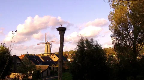 Stork on nest. Stock Footage 34165629