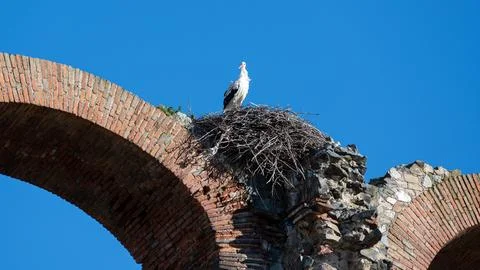 Stork Nesting on Ancient Brick Arch Stock Photos