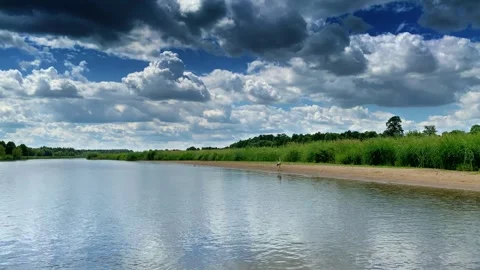 Stork on the river bank Stock Footage 254090481