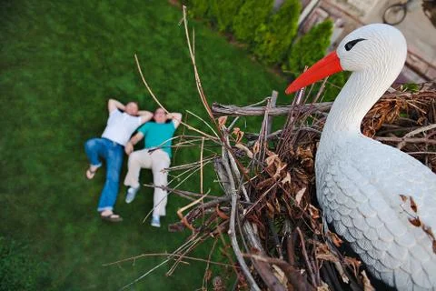 Stork sitting in a nest Stock Photos