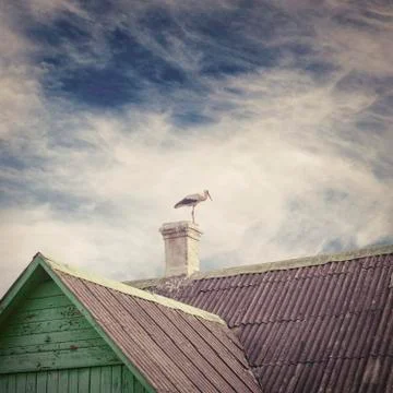 Stork standing on a chimney Stock Photos