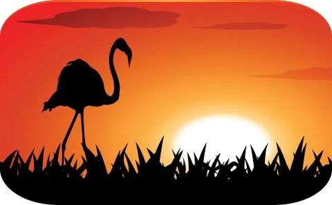 Stork with sunset Illustrazione stock