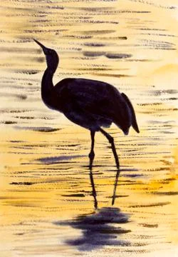 Stork in water Illustrazione stock