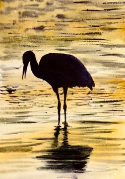 Stork on the water Stock Illustration
