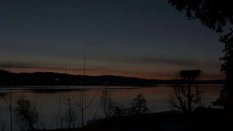 Storks at dawn Video stock 82819093