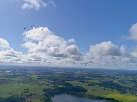 Storks flight close to drone over the lake. Flock of birds fly above autumn fall Stock Footage 104672636