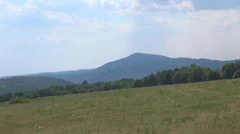 Storks in the meadow Vídeos de archivo 11595133