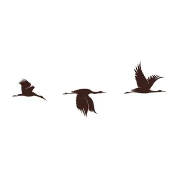 Storks migrating in herd. Vector drawing Stock Illustration