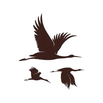 Storks migrating in herd. Vector drawing Stock Illustration