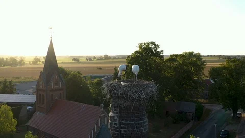 Storks on the nest aerial view 2 Stock Footage 115113790
