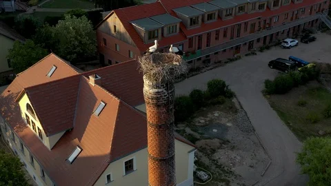 Storks on the nest aerial view Stock Footage 115113699