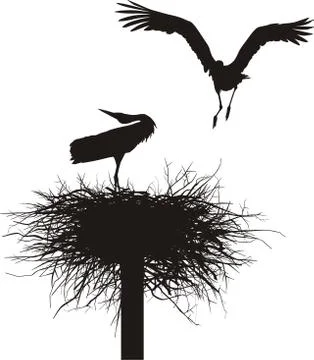 Storks in the nest Stock Illustration