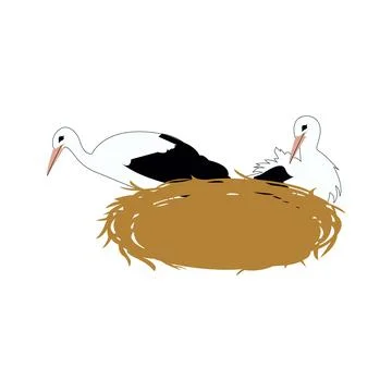 Storks in a nest Stock Illustration