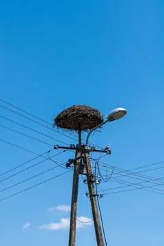 Stork's nest Foto stock