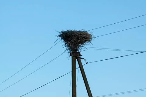 Stork's nest on a pole with electrical cables Stock Photos