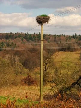 Stork's Nest on Power Pole Stock Photos