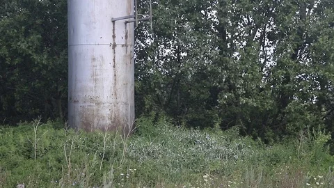 Storks nest on the water pipe Stock Footage 116709148