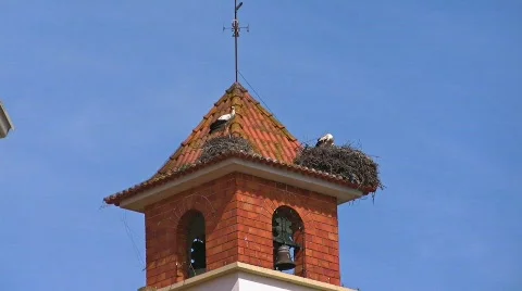 Storks nesting on bell tower Stock Footage 415654