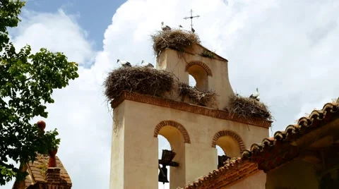 Storks nesting on a church in spring Stock Footage 66530049