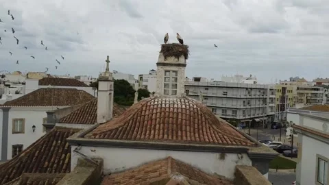 Stork's nesting on Latino chapel, 4K Stock Footage 219646062