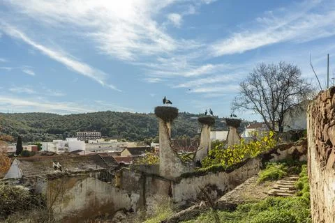 Storks Nesting on Old Chimneys in Algarve Village, Portugal Stock Photos