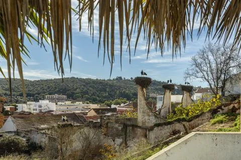 Storks Nesting on Old Chimneys in Algarve Village, Portugal Stock Photos