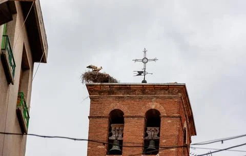 Storks nesting on old church bell tower in town Stock Photos