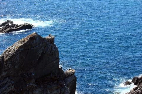 Storks nesting on a rock Stock Photos
