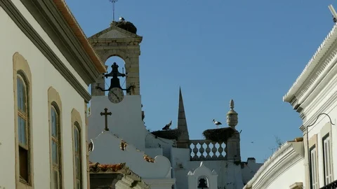 Storks nesting on a rooftop of a old Church Stock Footage 119041029