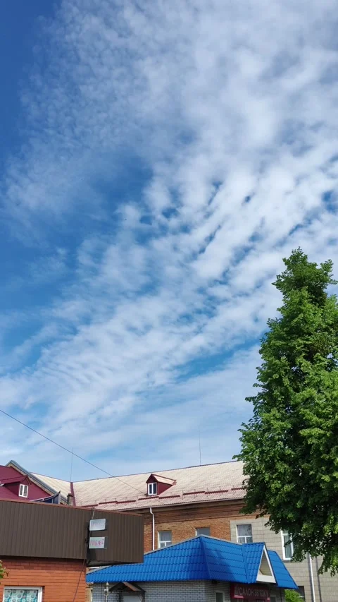 Storks in the sky over the city 2 스톡 동영상 309518067