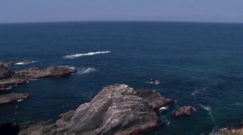 Storks on the slopes  #3 Stock Footage 48046793