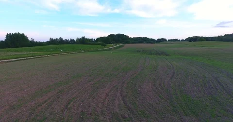 Storks walking through a plowed field - 7 動画素材 89832174