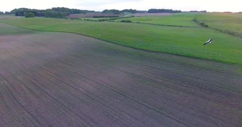 Storks walking through a plowed field - 8 動画素材 89832327