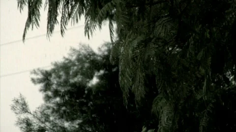 Storm 01 Stock Footage 342301