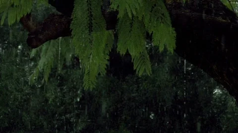 Storm 02 Stock Footage 342305