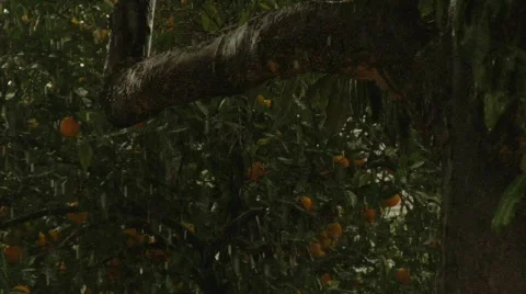 Storm 04 Stock Footage 342307