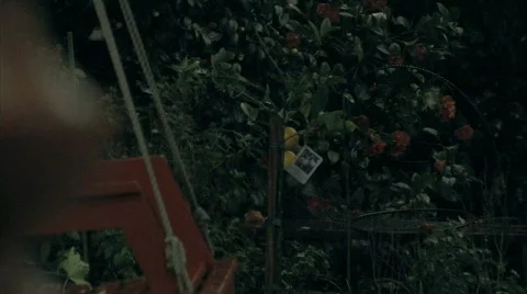 Storm 06 Stock Footage 342309