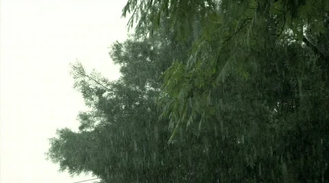 Storm 07 Stock Footage 342311