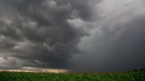 Storm above the corn field. Time laps landscape Stock Footage 80779520