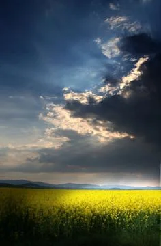 Storm above the rape field Stock Photos