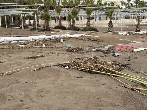Storm aftermath on beach with debris and damaged structures, palm trees in .. Stock Photos