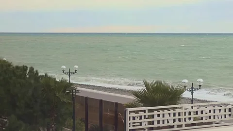 Storm and hurricane wind in Sochi, blowing away bushes. Video stock 258358206