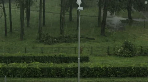 Storm and rain. Wind swallows trees. People and car run through the streets. Stock Footage 40062700