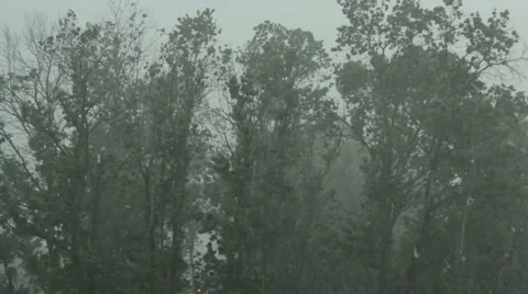 Storm and rain. Wind swallows trees. People and car run through the streets. Stock Footage 40063192