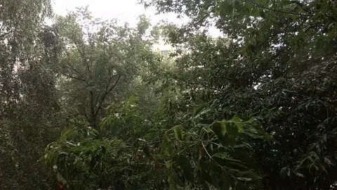 Storm and Rainfall Stock Footage 122514258