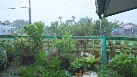 Storm and raining Stock Footage 101669204
