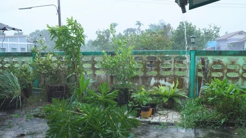 Storm and raining Stock Footage 101669341